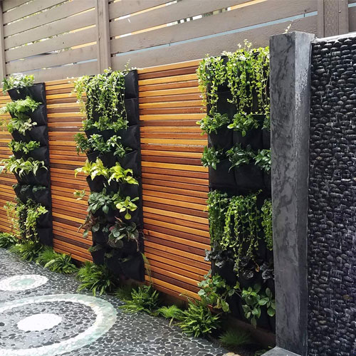 Vertical Gardens